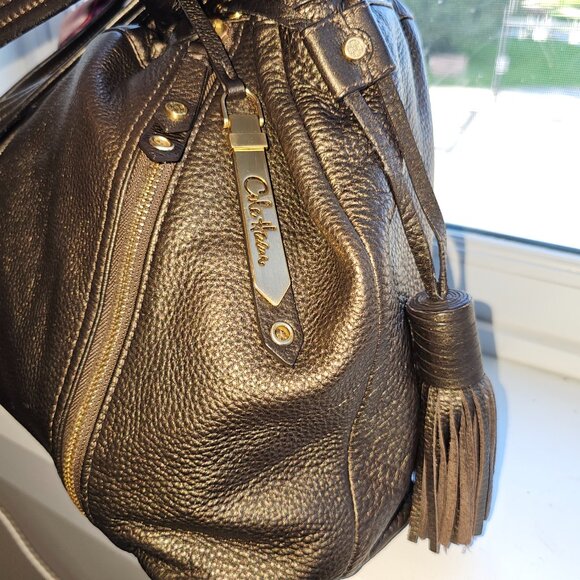 Cole Haan double tassel limited edition bronze metallic bucket bag EUC - Picture 8 of 14